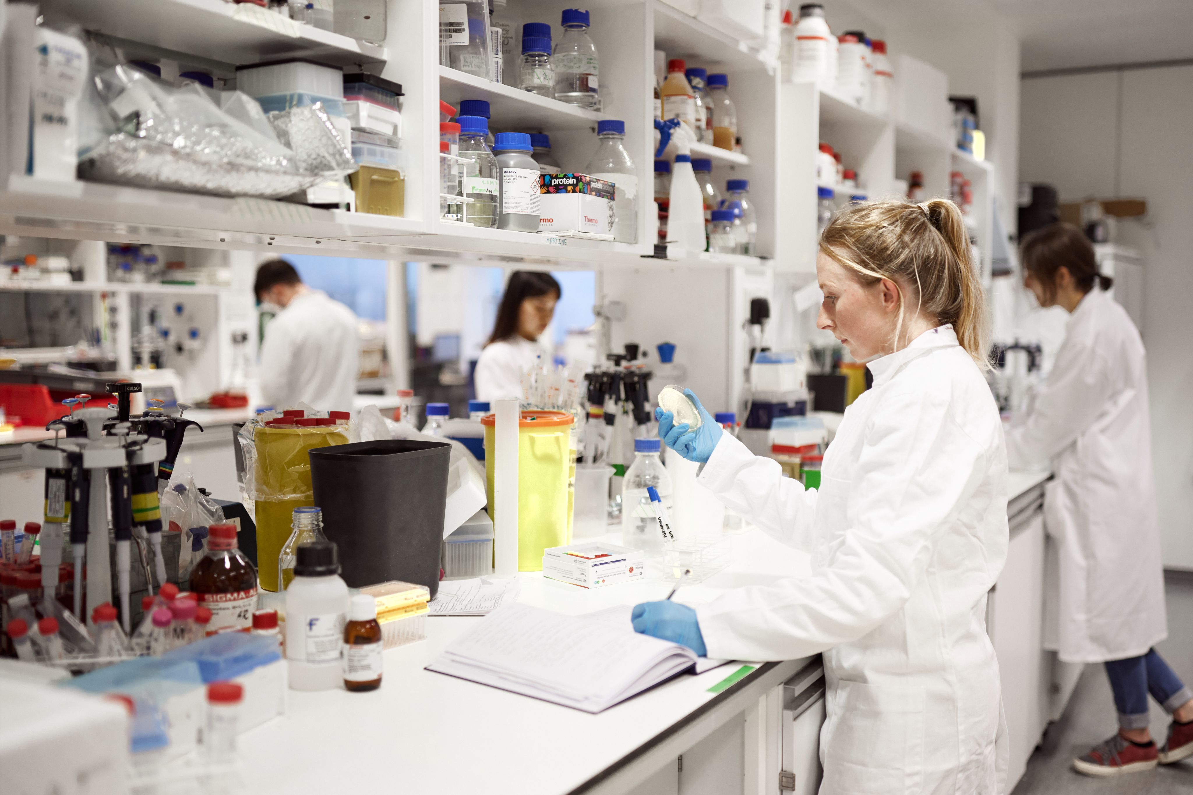 An IOI scientist in a lab coat inspects a petri dish in the lab
