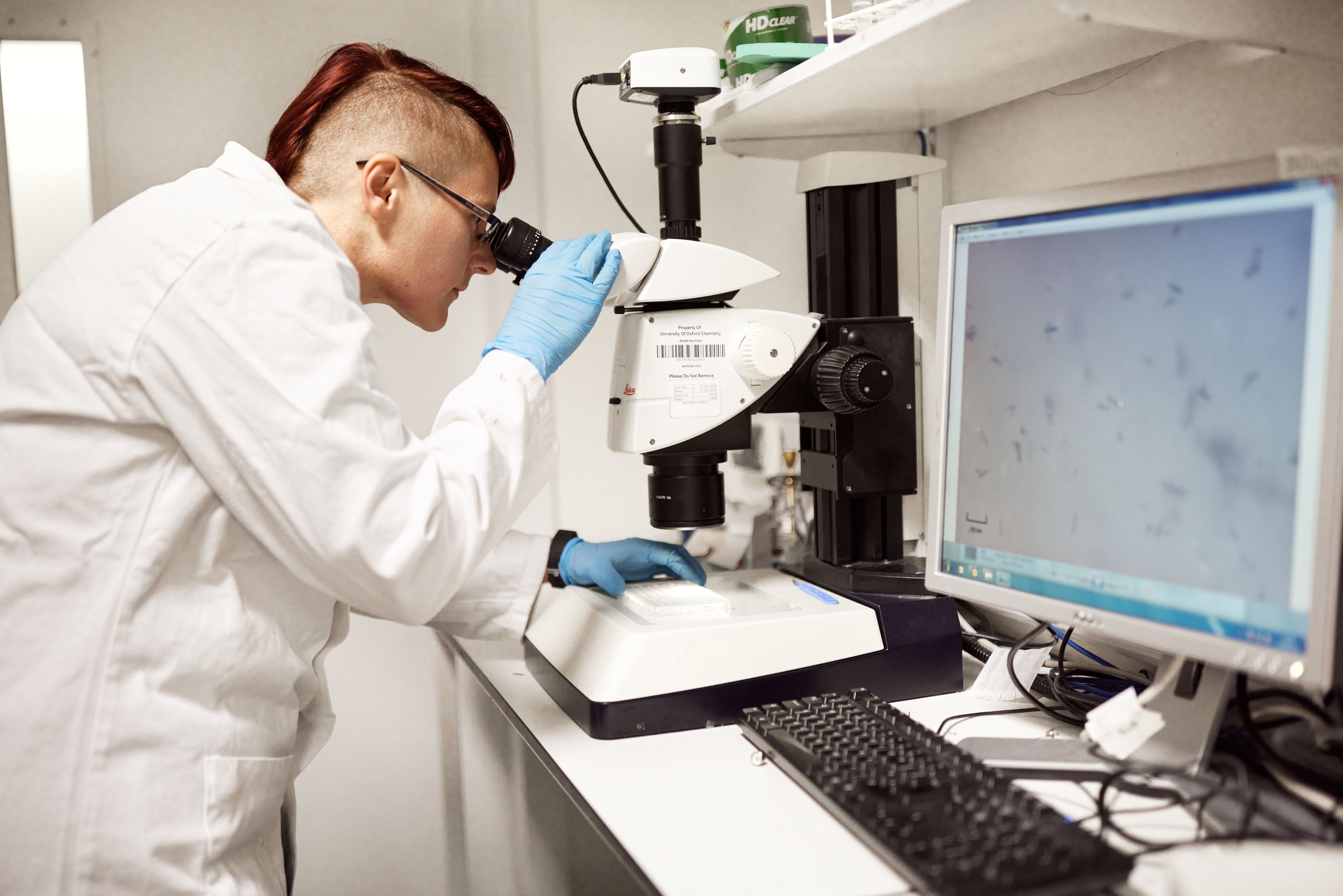 An image of an IOI scientist looking into a microscope