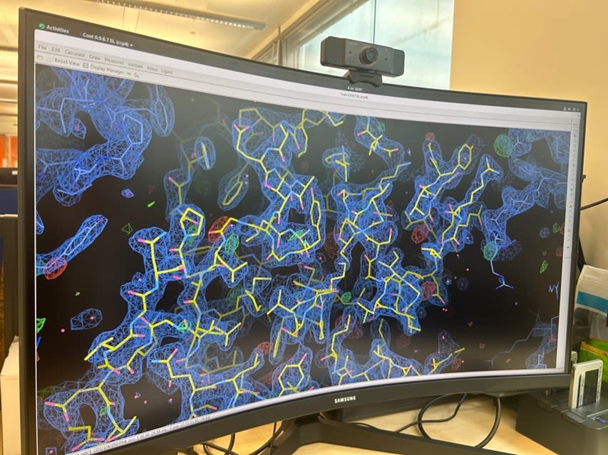Computer screen showing a 3D model of protein structure, in bright blue and yellow 